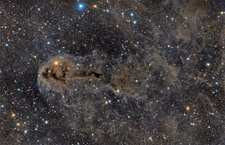 LDN 1251 - A Dark Nebula in Cepheus