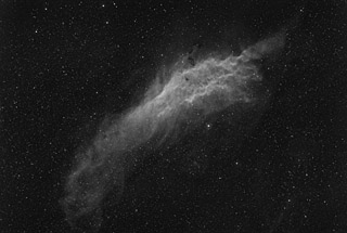 NGC 1499 - the California Nebula in Ha
