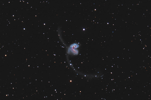 NGC 4038/4039 - The Antennae Galaxies in Corvus