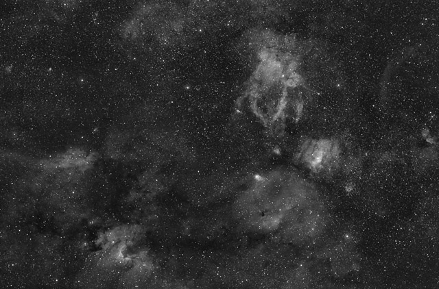 The Bubble, Cave, Lobster, and More in Ha