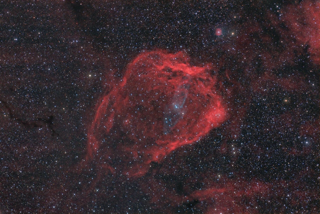 The Flying Bat and Squid Nebulae in HaOIIIRGB
